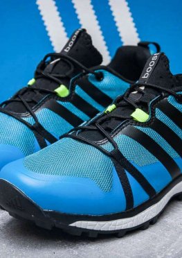 Кроссовки мужские в стиле Adidas Terrex Boost, синий (11661),  [  41 42 43  ]