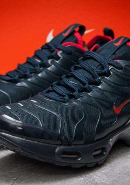 Кроссовки мужские в стиле Nike Air Tn, темно-синий (12972),  [  43 44  ]