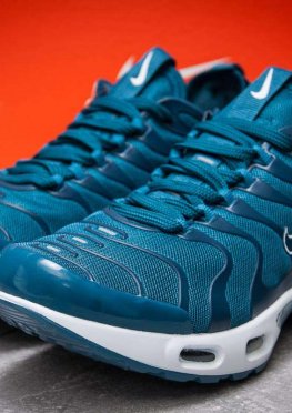 Кроссовки мужские в стиле Nike Air Tn, синий (12975),  [  43 44 46  ]