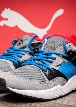 Кроссовки мужские в стиле Puma TRINOMIC, серые (2527-1),  [  42 43 44  ]